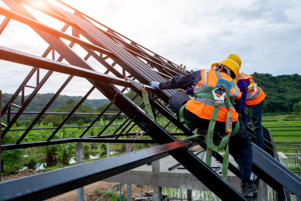 Best Storm Damage Roof Repair  in Aiea, HI