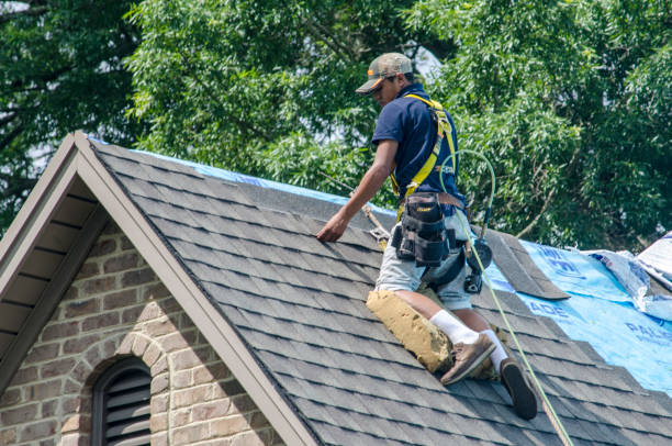 Roof Waterproofing Services in Aiea, HI